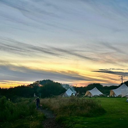 Lakeside Glamping Firecrest St Columb Major Dış mekan fotoğraf