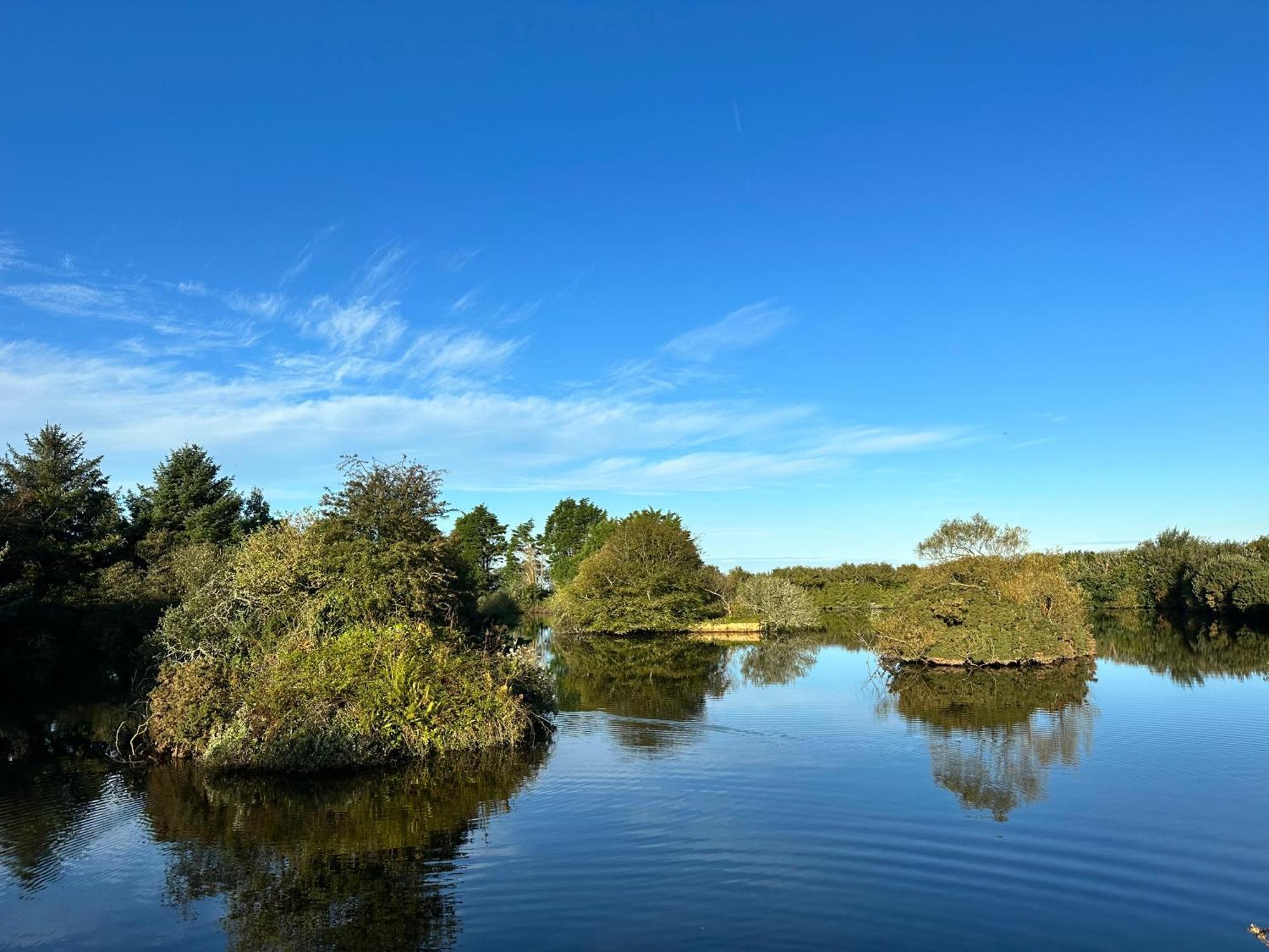 Lakeside Glamping Firecrest St Columb Major Dış mekan fotoğraf