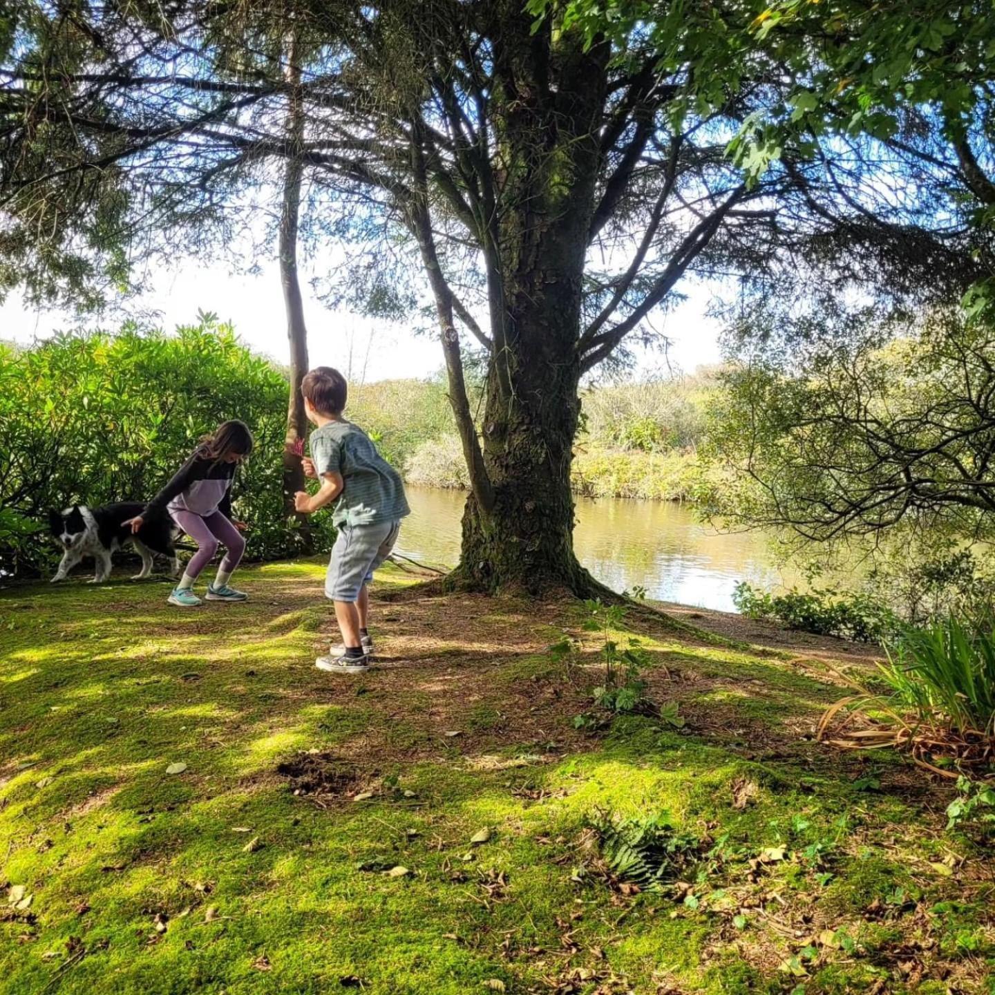 Lakeside Glamping Firecrest St Columb Major Dış mekan fotoğraf