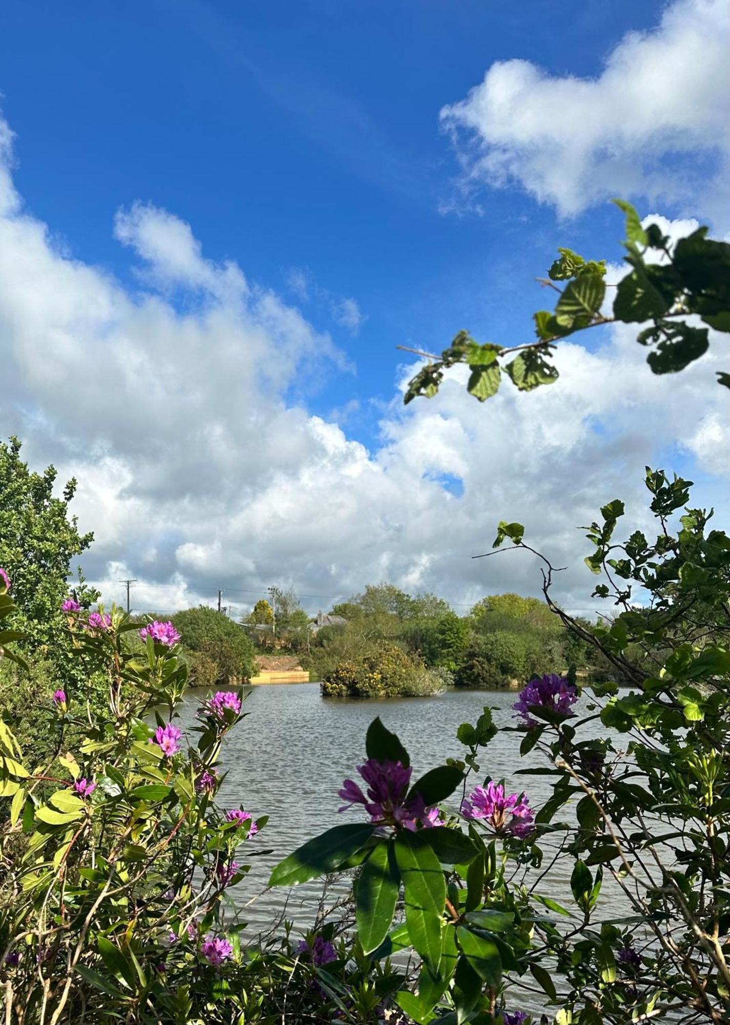 Lakeside Glamping Firecrest St Columb Major Dış mekan fotoğraf