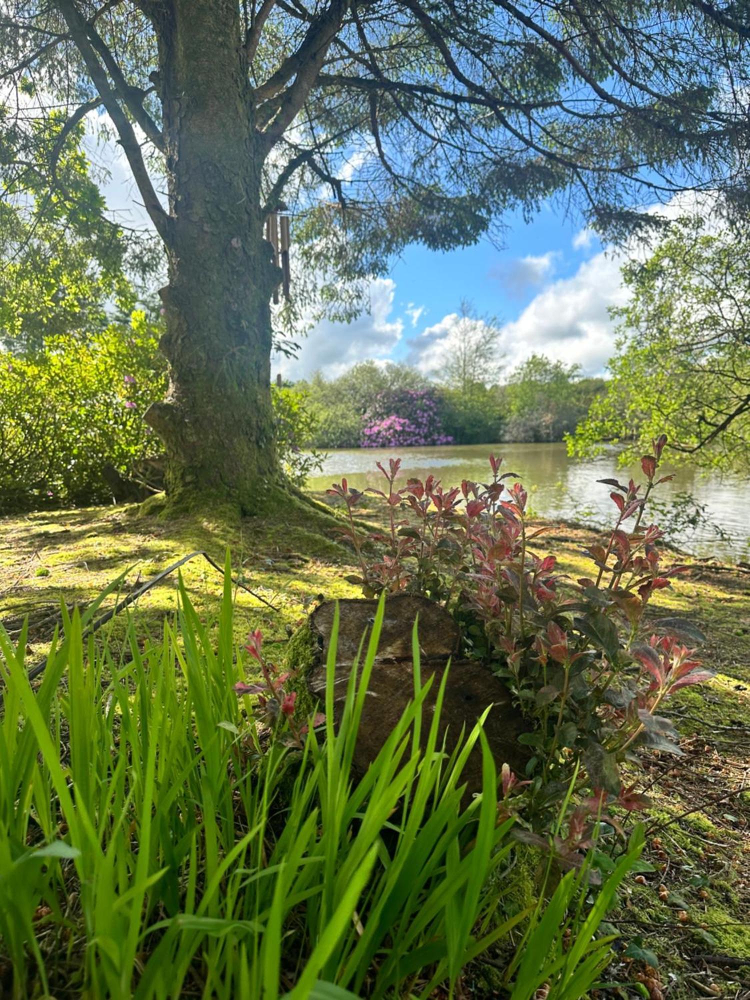 Lakeside Glamping Firecrest St Columb Major Dış mekan fotoğraf