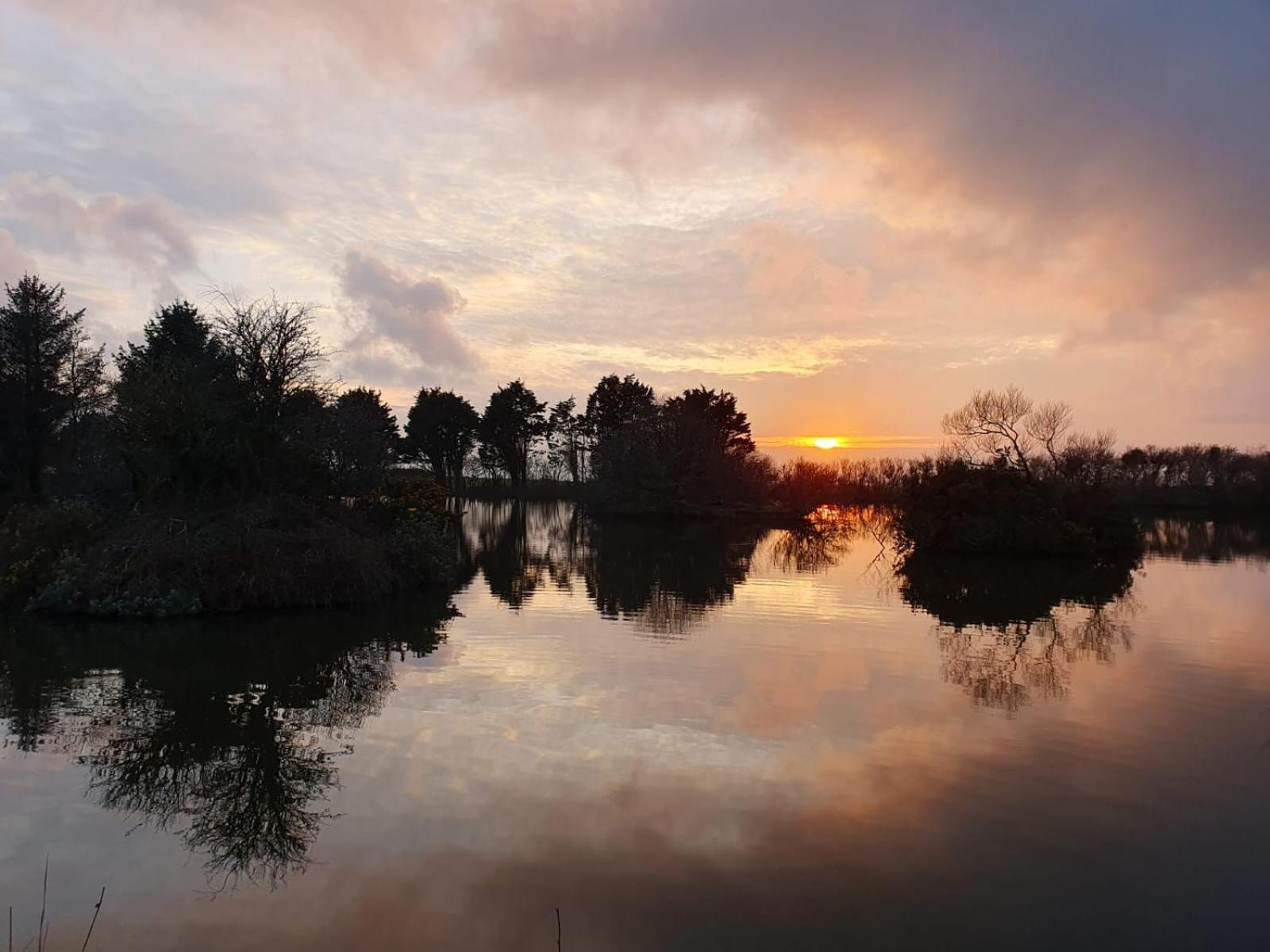 Lakeside Glamping Firecrest St Columb Major Dış mekan fotoğraf