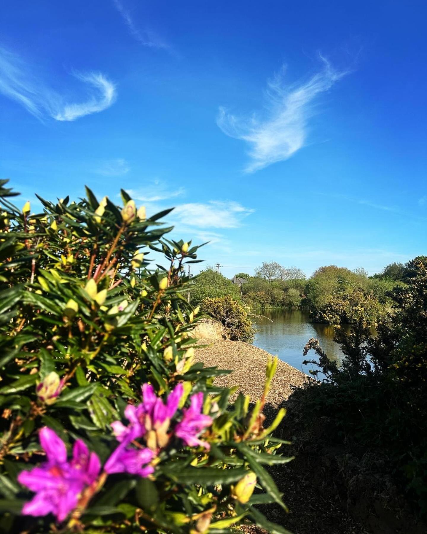 Lakeside Glamping Firecrest St Columb Major Dış mekan fotoğraf