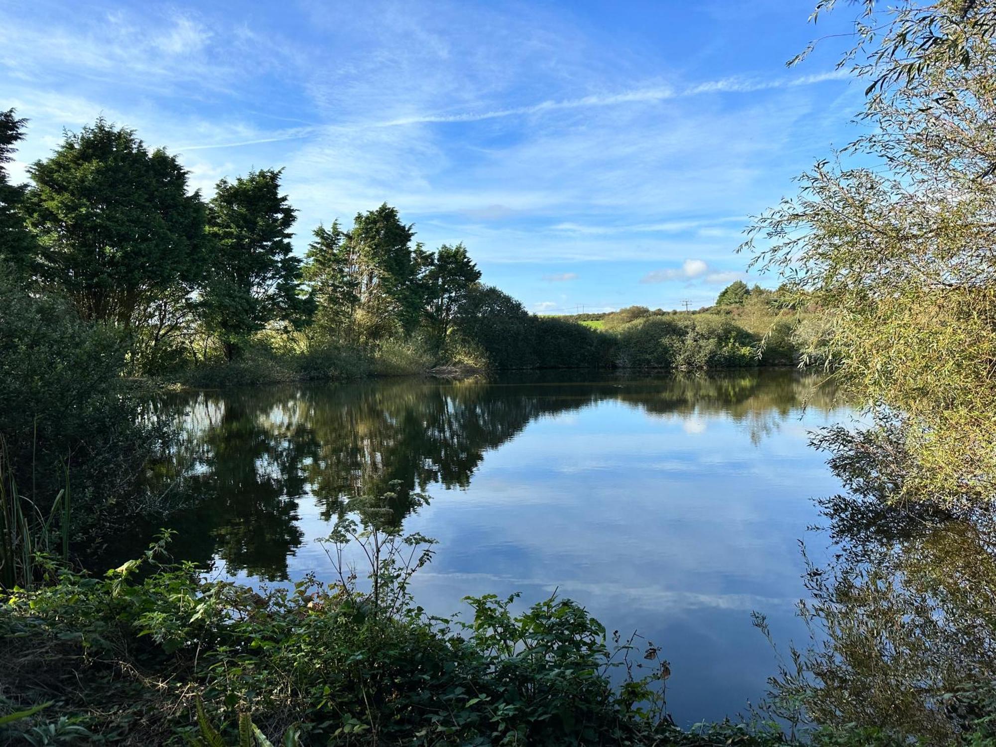 Lakeside Glamping Firecrest St Columb Major Dış mekan fotoğraf
