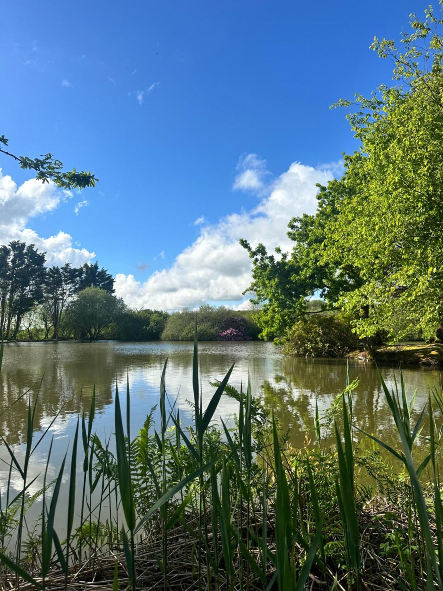 Lakeside Glamping Firecrest St Columb Major Dış mekan fotoğraf