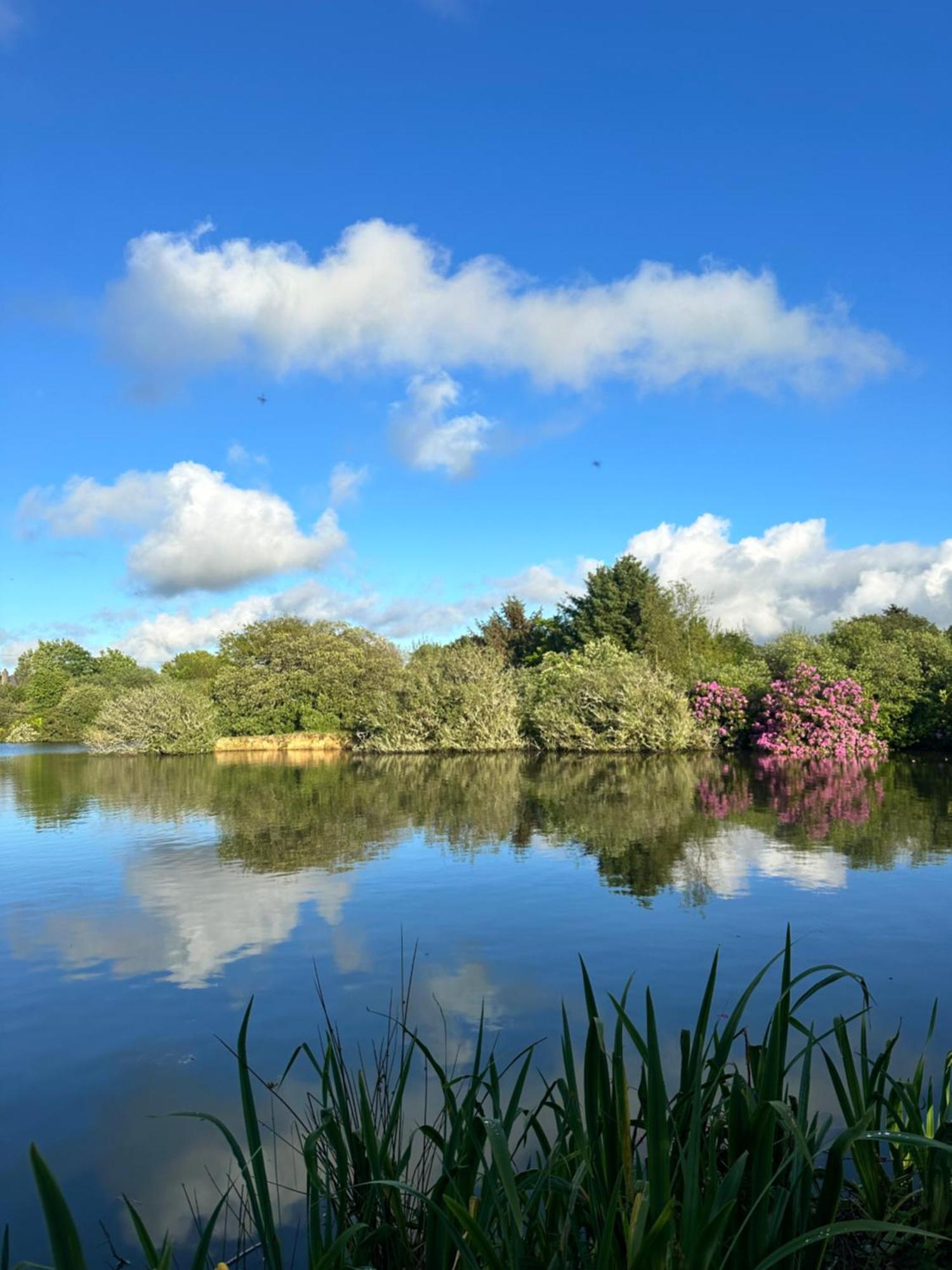 Lakeside Glamping Firecrest St Columb Major Dış mekan fotoğraf