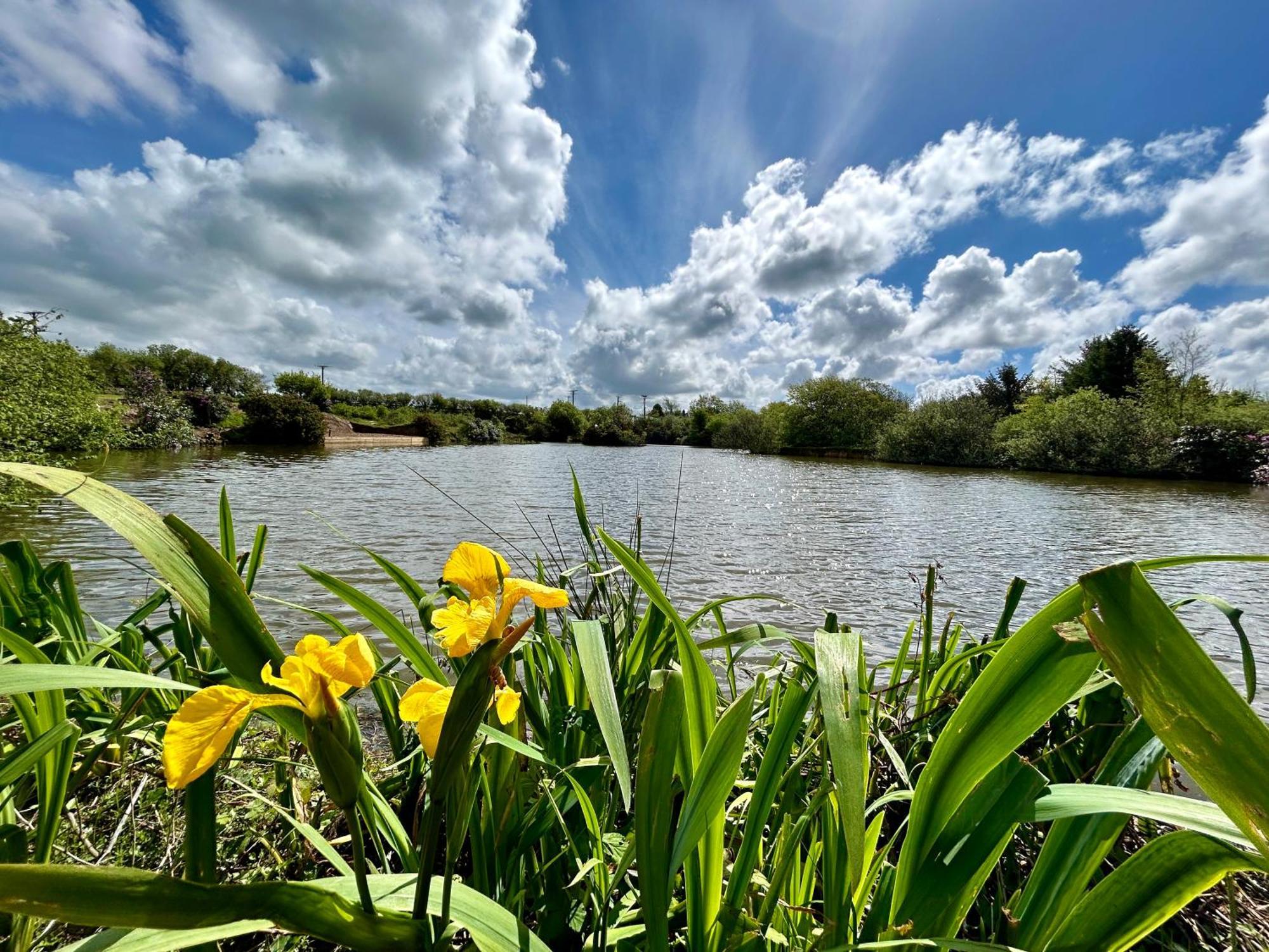 Lakeside Glamping Firecrest St Columb Major Dış mekan fotoğraf