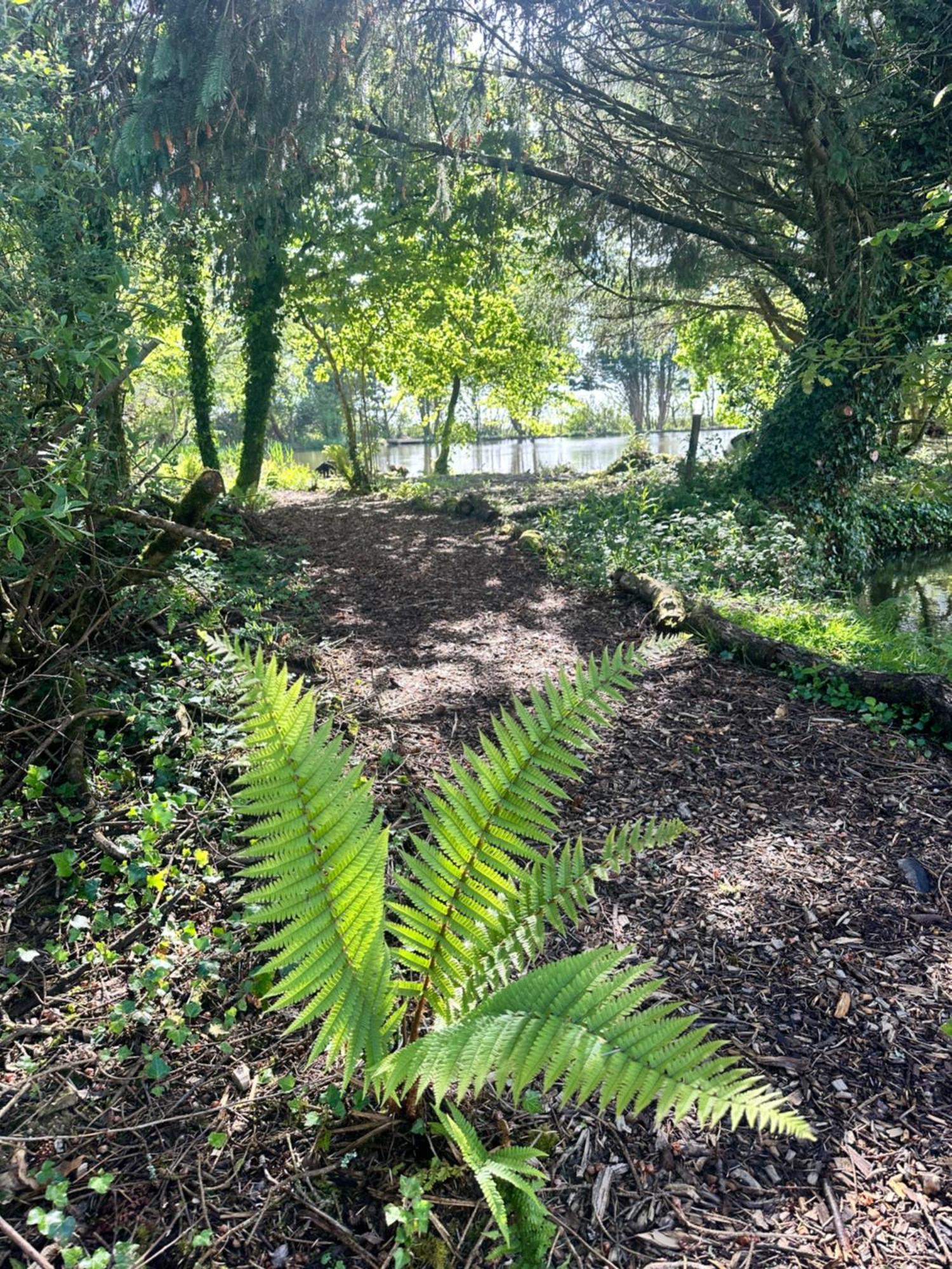 Lakeside Glamping Firecrest St Columb Major Dış mekan fotoğraf